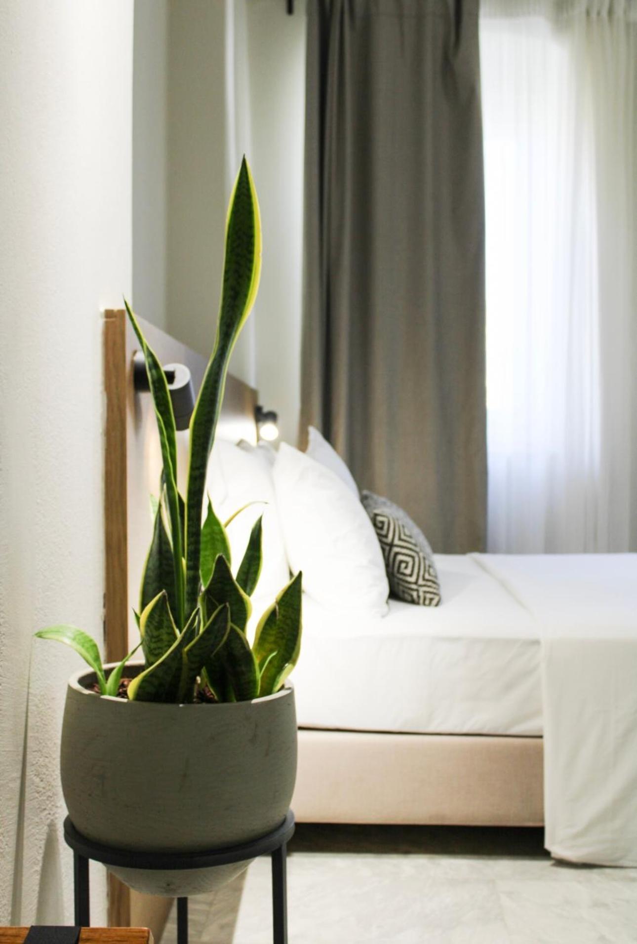 Oiko Mini Suites Ermoupoli Ngoại thất bức ảnh